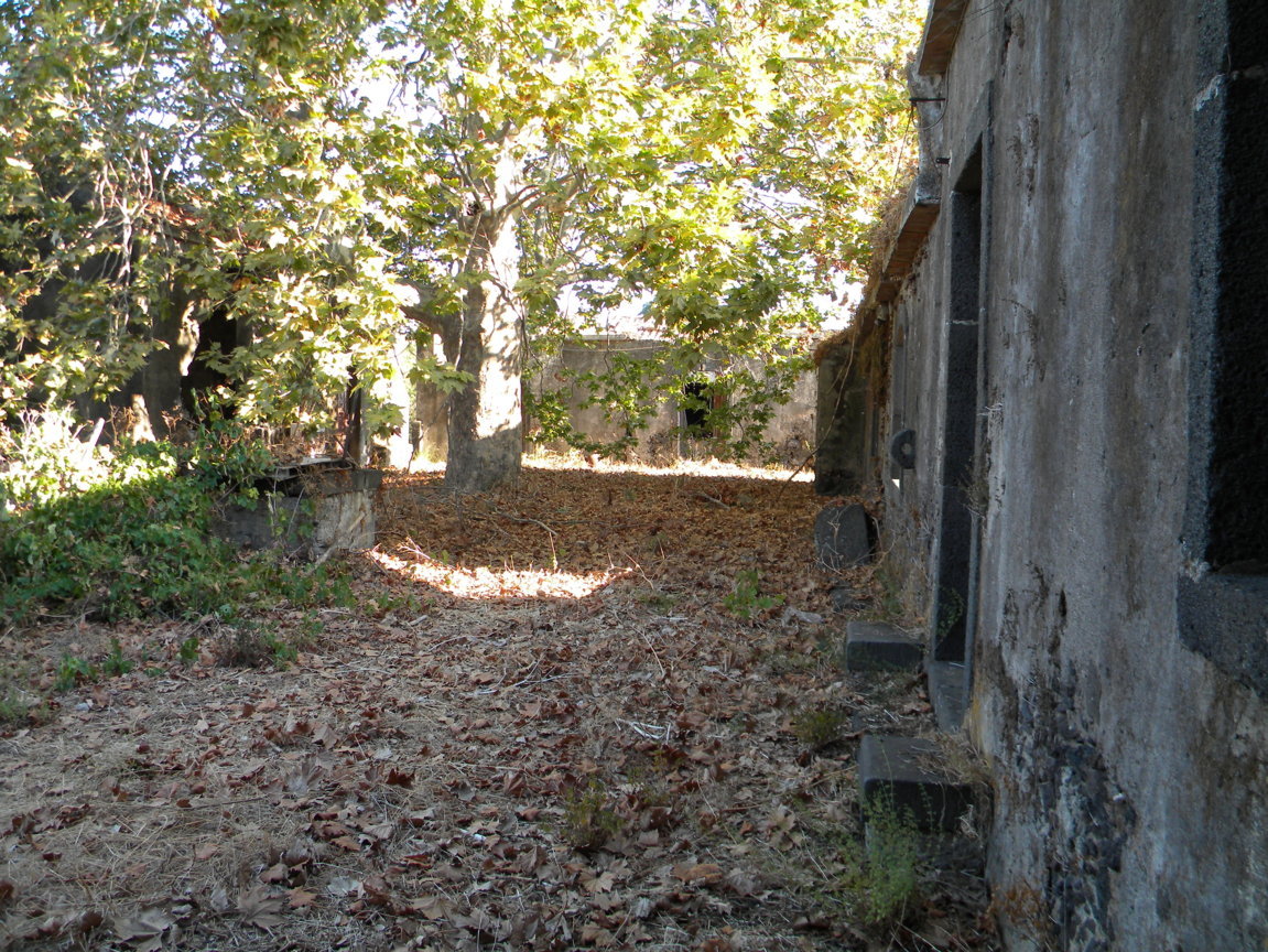 DSCN8027 .JPG